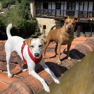 pipper en posada sierra de ibio