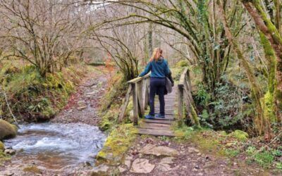La Ruta de los Puentes en el Parque Natural de Saja-Besaya