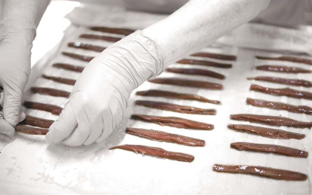 Visita Conservera Anchoas – Santoña