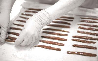 Visita Conservera Anchoas – Santoña