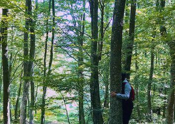 Cantabria se sumerge en los placenteros Baños de Bosque