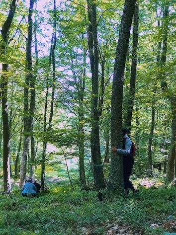 Cantabria se sumerge en los placenteros Baños de Bosque