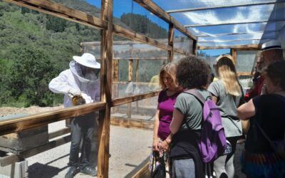 Visita los Colmenares de Abejas