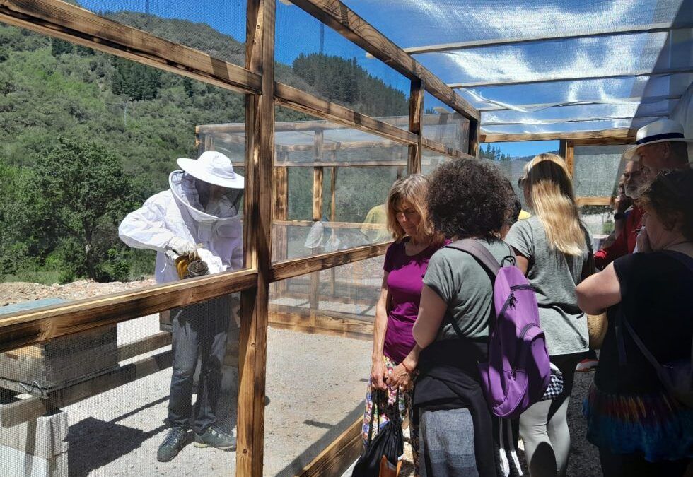 Visita los Colmenares de Abejas