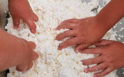 Talleres de Quesos y Mantequillas
