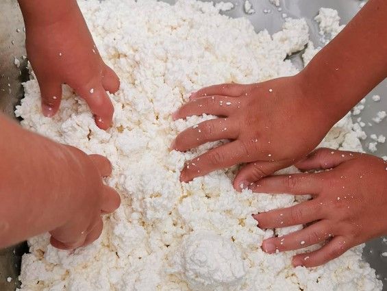 Talleres de Quesos y Mantequillas