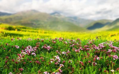 Primavera en Cantabria: un renacer para la naturaleza y el viajero