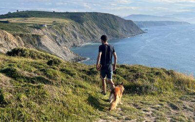 Senderismo en Cantabria entre Bosques y Montañas con tu perro