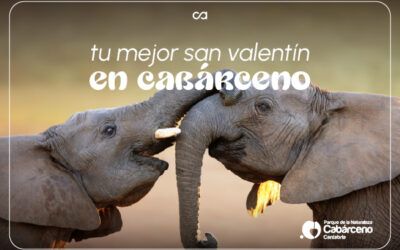 San Valentín en el parque de la naturaleza de Cabarceno – Cantabria
